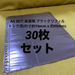 Item thumbnail for item fd1c8493-48ee-4e5d-8751-88ef053acc1a