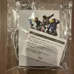 PALオリジナル　パルクロすっきゃねんずストラップ付マルチケース