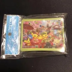 E*y様 【未開封】メガシンカプレゼント当選品 ポストカード ルフィ
