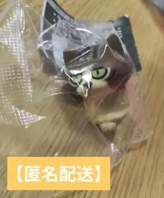 まちぼうけ おさわり探偵 なめこ栽培キット ねこなめこ