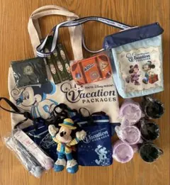 （463）未使用保管品　東京ディズニーリゾート　バケーションパッケージセット