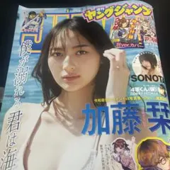 Item thumbnail for item 1a12df07-e2bb-4961-8ee5-bec5d3195723