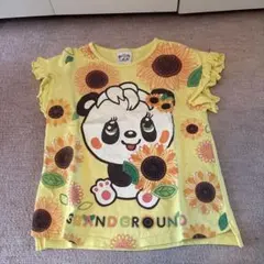 Item thumbnail for item 89d9f4c7-af3c-44c4-bc5f-d668a049fe07