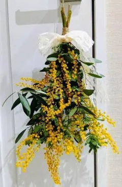 kiwa様 リクエスト 2点 まとめ商品