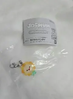JOCHUM ジェオチャム Bira ビラ めじるし チャーム アクセサリー