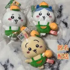 ちいかわ　静岡限定　みかん　マスコット　ご当地　ハチワレ　うさぎ