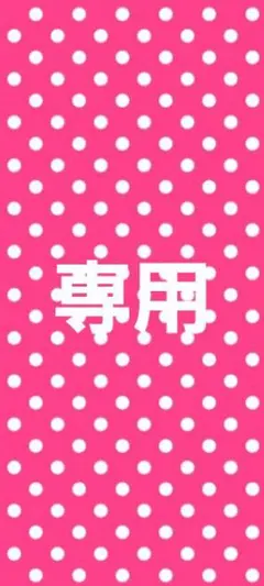 専用