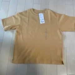 Item thumbnail for item 66e89c74-cca7-4516-8383-3ab8e902fde0