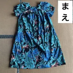 Item thumbnail for item 4039659f-6e0e-49f2-a85f-173851bf673a