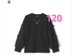 Item thumbnail for item d34293e2-fc2f-4944-80d0-c45177fab47f