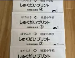 最新版 2025 雙葉小学校 ジャック 学校研究会 - メルカリ