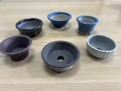小品盆栽　植木鉢 豆鉢　丸鉢　6個セット