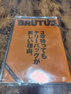 BRUTUS 3年待ってもケーリーバッグが欲しい理由　エルメス