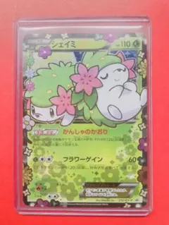 シェイミEX：プレミアムポケキュン♥セット PROMO XYシリーズプロモーシ…