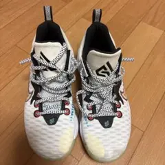 NIKEバスケットシューズ⭐︎