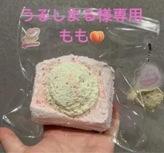 うるしまる様専用　kakacoもも　トストスクイーズ