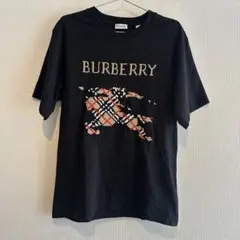 バーバリー BURBERRY クロスステッチ EKD​コットンTシャツ　Sサイズのサムネイル