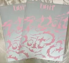 【新品未開封】 スキズ straykids doit 通常盤 IT ver 2冊
