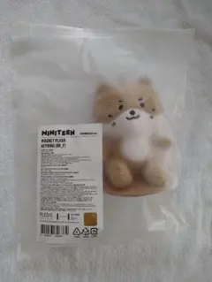 MINITEEN Holiday ぬいぐるみ Plush Doll ドア DOA - メルカリ