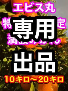 みっちー様専用