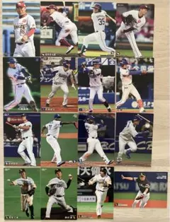 プロ野球チップスカード　16枚セット