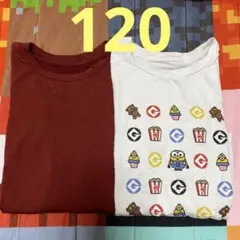 ユニクロ　極暖　ヒートテック