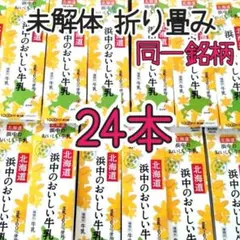 空 牛乳パック 24本 未解体 折り畳み★空きパック①
