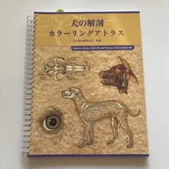 犬の外科解剖 カラーアトラス Amazon.co.jp: ベテリナリ-・アナトミ-: 犬と猫の解剖カラ