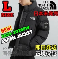 新作 THE NORTH FACE ASPEN EX Lサイズ ブラック