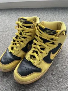 希少 1999年製 NIKE DUNK HIGH LE IOWA 27.5cm
