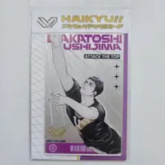 ハイキュー 牛島若利 SVリーグ メタリックアクリルカード
