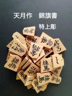 2025年最新】将棋 天月作の人気アイテム - メルカリ