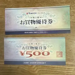YAMADA HLDGS お買物優待券 5枚