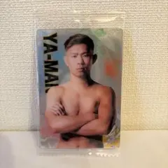 RIZIN YA-MAN ヤーマン プロフィールカード NO.31