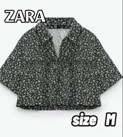 Item thumbnail for item ad4f9378-59aa-4910-8784-a653cebd45f8