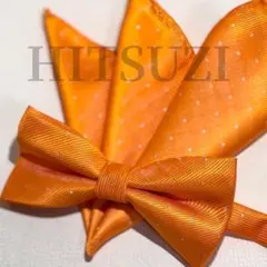 ☆蝶ネクタイ チーフ　結婚式 オレンジ ドット 披露宴　高級　新郎　Fde