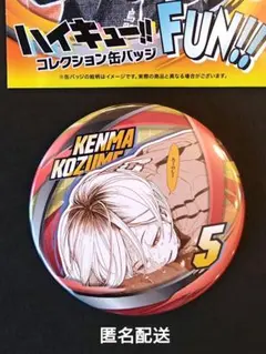 ハイキュー!!　孤爪研磨　コレクション缶バッジ　FUN　ファンパーク