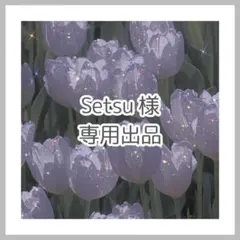 amiiboカードまとめ売り Setsu様