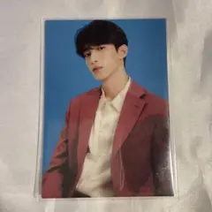 SEVENTEEN トレカ 【BE THE SUN】DK