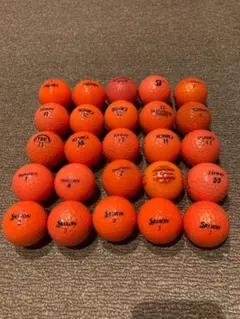 Item thumbnail for item 5e143656-9b11-4c94-ab56-e7b423a48efa