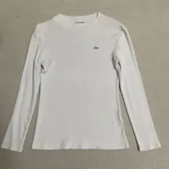 ラコステ レディース トップス 40 (L相当)