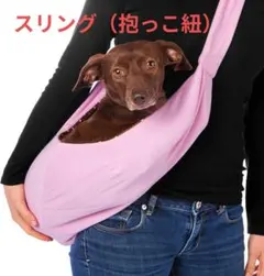 Item thumbnail for item bc32b42b-099f-47bd-ade8-2358d7a92e8d