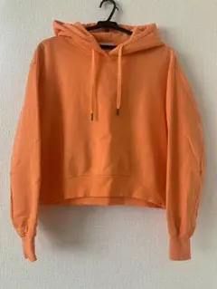 Item thumbnail for item feacf3d9-0678-41ac-989f-a5fad561695c