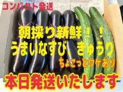 8/5 朝採り農薬不使用ワケありきゅうり、ナス 本日発送のサムネイル