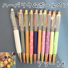 【アソートY】ハーバリウムボールペン10本セット