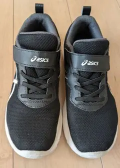 Item thumbnail for item 3cdc0df8-4d97-464a-b133-a640794ca96b