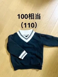 D.fesense ディーフェセンス　裏毛　Ｖネック　トレーナー　パーカー