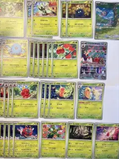 ポケカ　ポケモンカード 進化　草ポケモン　まとめ売り　30枚セット