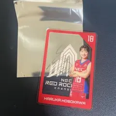 Kazuhiro Watanabe様 リクエスト 2点 まとめ商品