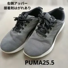 PUMA スニーカー 25.5cm グレー